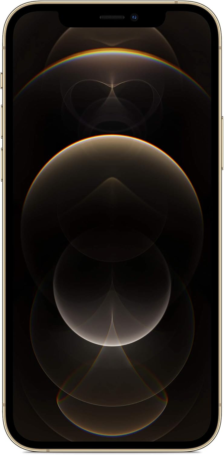 Apple iPhone 12 Pro, 128GB, Grafit (Renoverad)